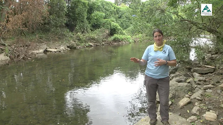 Delaware Riverkeeper Network video Darby Creek wat...