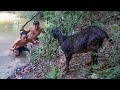 Amazing Video Cooking In Forest 2021 - Catch Wild Goat to Cooking Eating Delicious