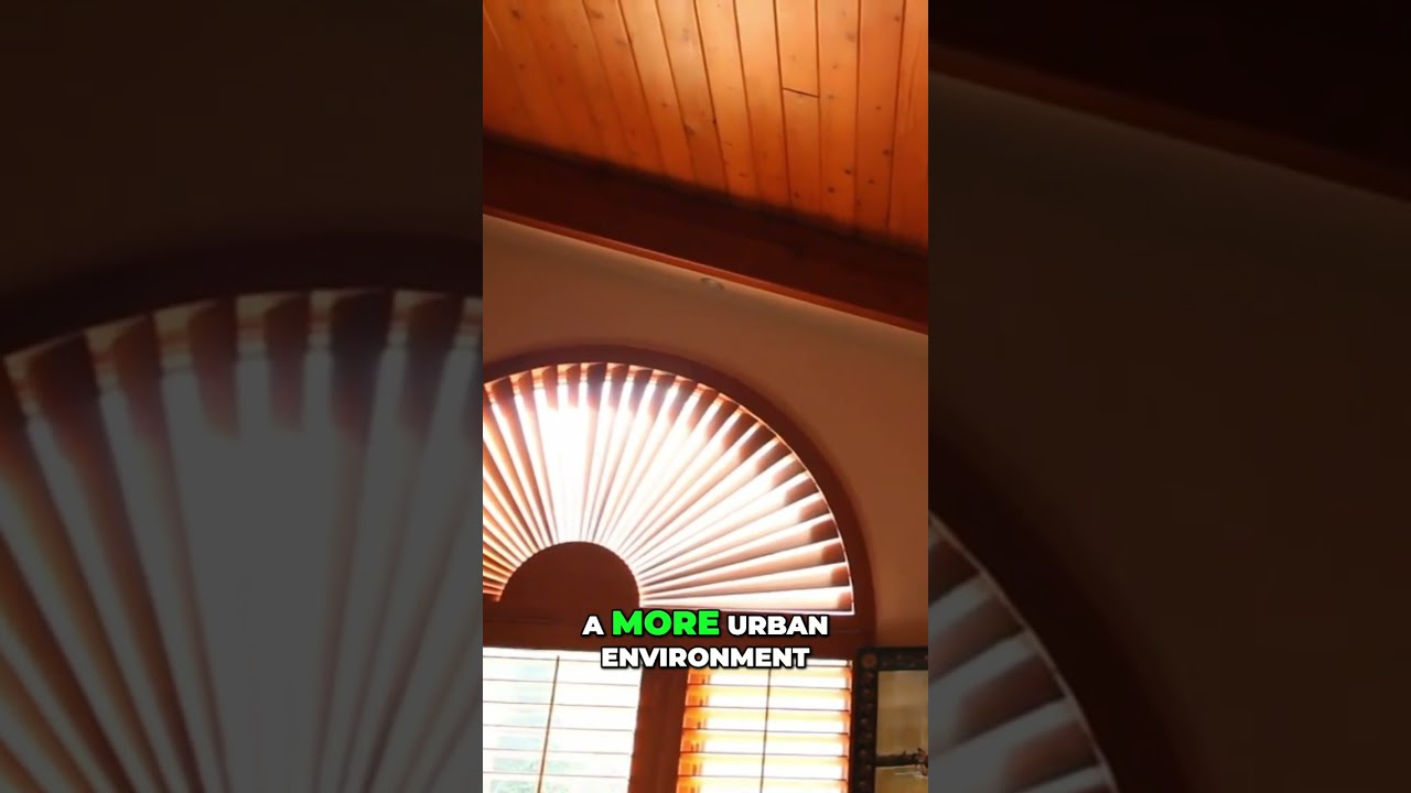 Plantation Shutters in Bucks County | Trevose | 