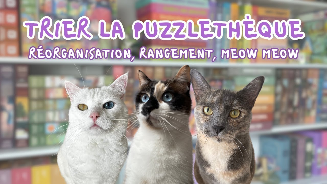 ON TRIE LA PUZZLE ROOM 🧩 reset de A à Z, on clean !