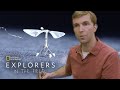 Biomimicry and Robotics Quiz