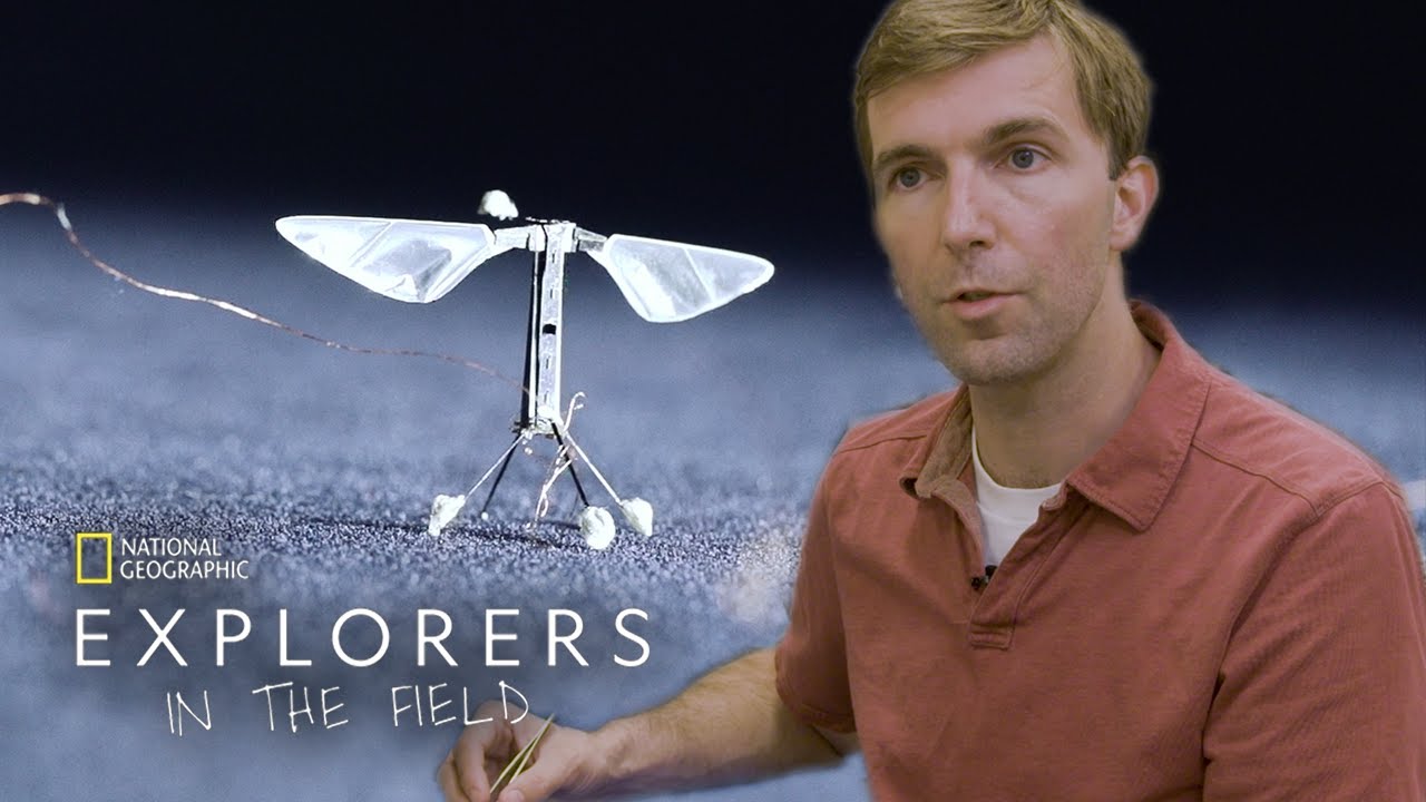 Flight of the RoboBees | in the Field - YouTube