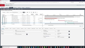 The Primavera P6 EPPM Projects Tab