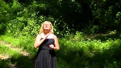 Redeemer by Nicole C. Mullen in ASL