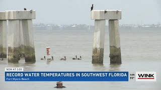 SWFL hot water temperatures severe; NOAA