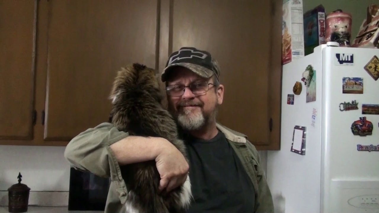 live streaming rmc sport A MAN AND HIS CAT