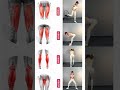 Stick to these 4 leg training exercises to slim straighten your legs and increase leg