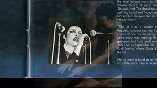 Nicotine Stain - The Scream (1978) DELUXE EDITION/ Siouxsie and The Banshees