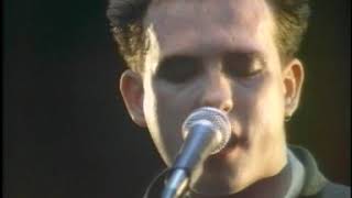 The Cure - In Orange