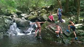 20200711 大屯溪古道親子遊(2)