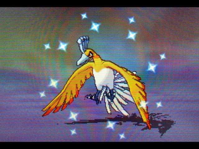 Jason ✨ on X: Shiny Ho-Oh! ✨🐦 This appeared after 2,896 Soft