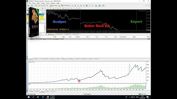 Bober Real EA