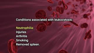Leukocytosis (short learning video)