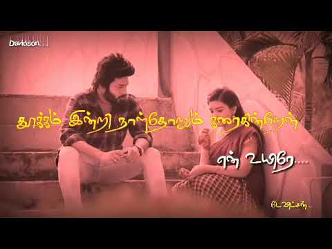 Un peyarum en peyar serum naal ithu than  Sembaruthi serial marriage song