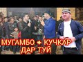 Мугамбо ва Кучкар туя девона кардан дар Наврузи 2020