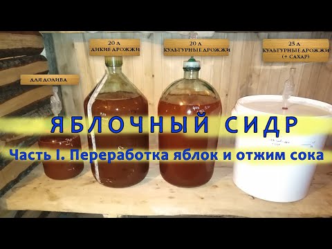 Переработка яблок в домашних условиях рецепты