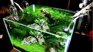 Vivarium Nano