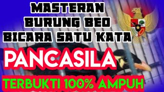 masteran burung beo mp3 100% ampuh.PANCASILA