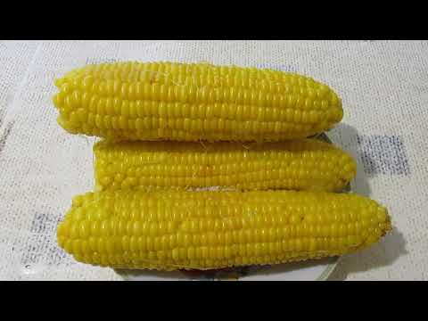Сладкая Кукуруза За 15 Минут. Как Варить Кукурузу