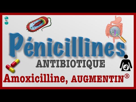 Vidéo: La pénicilline et l'amoxicilline sont-elles identiques ?