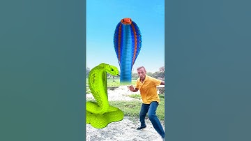 Anaconda Snake in real life P111 #short #shorts #snake #python #snakes #nagin #anaconda #bigsnake