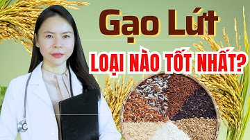 Gạo Lứt Nào Tốt Nhất? Cách Chọn Gạo Lứt Phù Hợp Với Sức Khoẻ Từng Người!