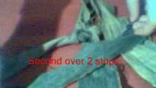 犬の手作りおもちゃ5つのポイントとアイデア集 布編 Wanwans