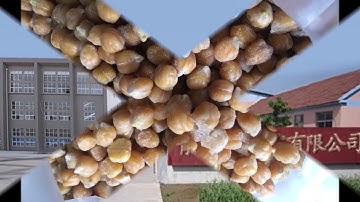 Liuyi Full Automatic Vacuum Fryer for Frying Chickpeas