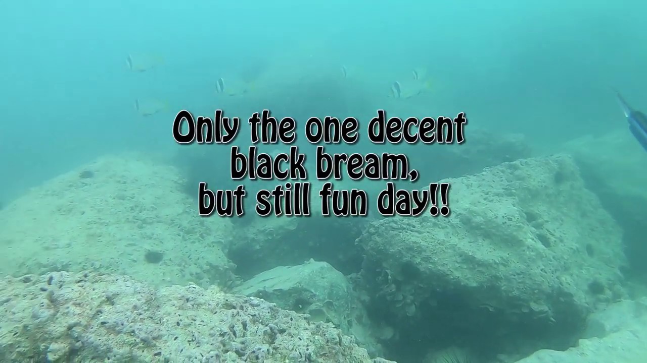 19 Feb 2020 Spearfishing Dubai YouTube