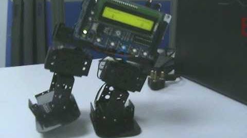 bi4s biped 4 servo motor