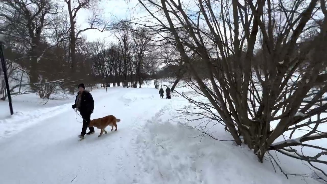 Hagaparken of Stockholm - A walk in Sweden's regal park