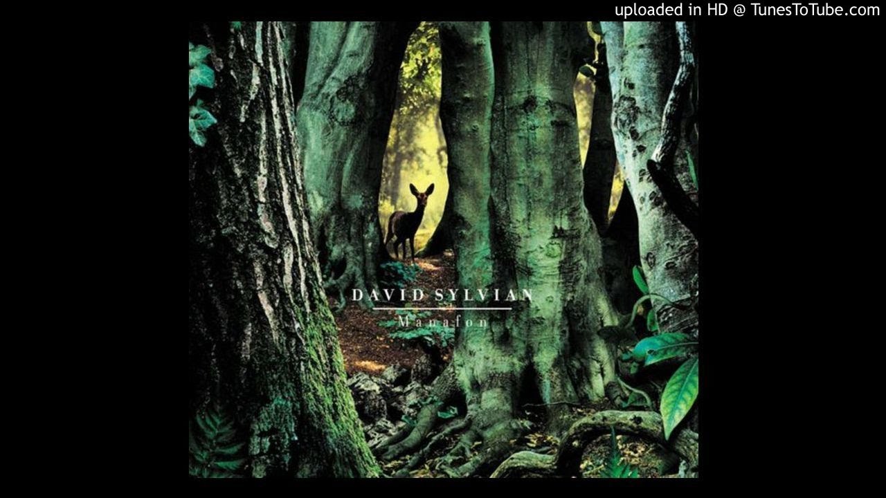 for the love of life david sylvian