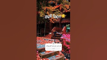 #المعيقلي #القرآن_الكريم #القارئ_عبد_الرحمن_السديس #اكسبلور #storytime #butifyoucloseyoureyes