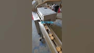Skywin Biscuit Feeding and Packing #biscuit #cookies #packing #machine #packagingmachine