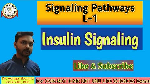 Signaling Pathways L-1#Insulin Signaling Pathway by Dr. Aditya Sharma CSIR-JRF PHD For CSIR-NET ICMR
