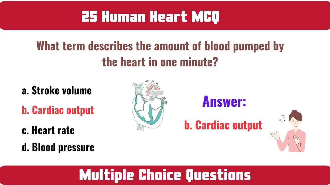 Multiple Choice Questions and Answers on Human Heart | Nursing made ...