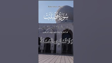 سورة فصلت♥️♥️♥️♥️ #alquran #quran #qurantilawat #surah #holybook #viralislamicvideo