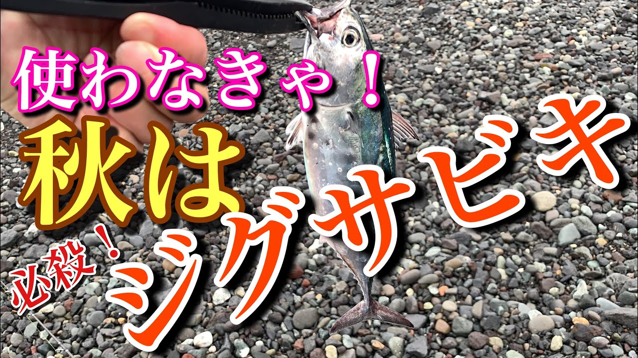 メタルジグの渋い時期 答えはジグサビキでした Youtube