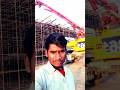 Overbridge concrete #construction #engineering #shorts