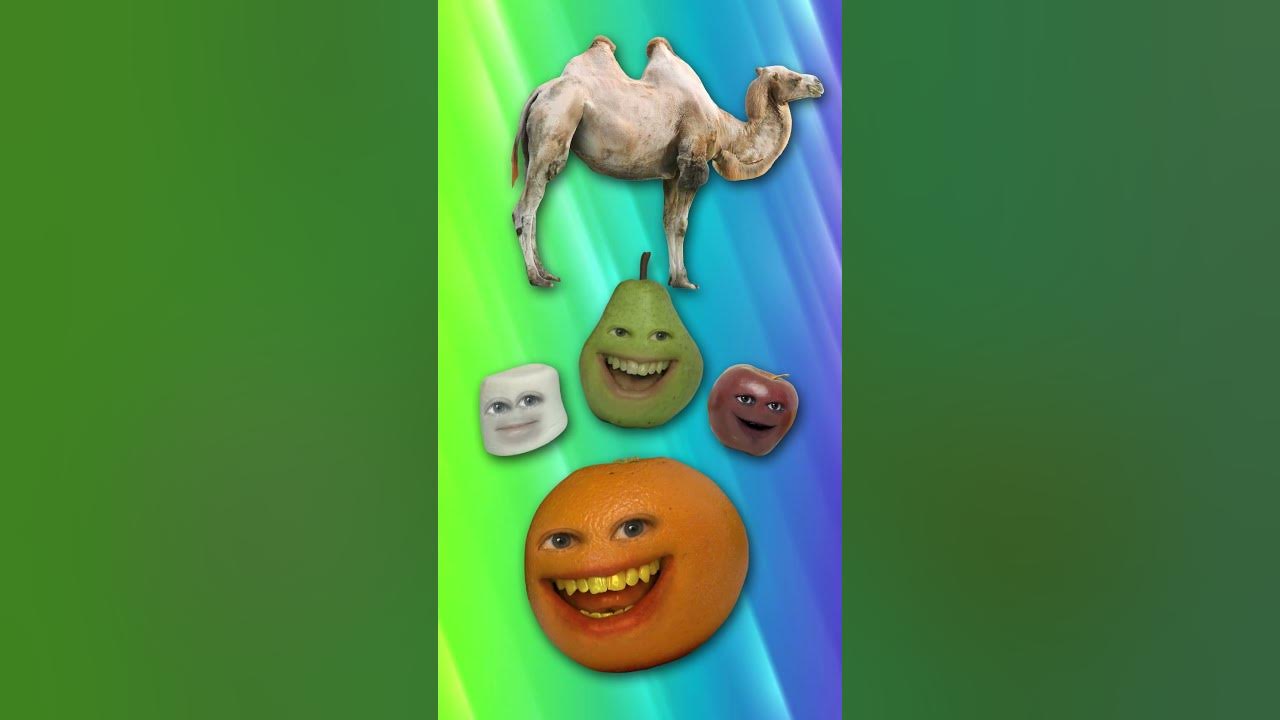 Wednesday (Spoof of Friday by Rebecca Black)