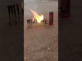 Matchstick Amazing Experiment 😱 Diwali Crackers Reaction #shorts