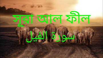 সূরা আল ফীল এর অসাধারণ তেলাওয়াত_سورة الفيل. Surah Al-Fil