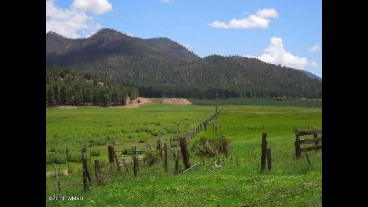 Real Estate for Sale Cr 2108, Nutrioso, AZ 85932 YouTube