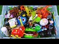 Fun Wild Zoo Animal and Sea Animal, Characters &amp; Vehicles Color Names - Learn Color Box for Children