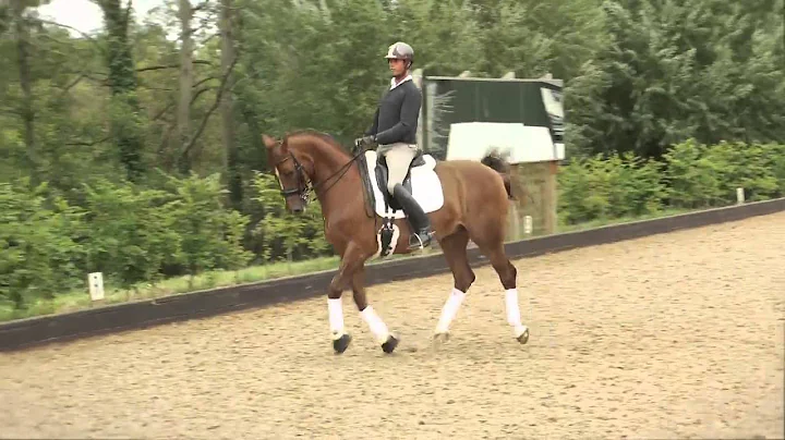 The best of the London 2012 Olympics: Carl Hester ...