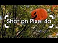 Pixel 4a Camera Test: Scary Good!