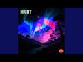 Night 