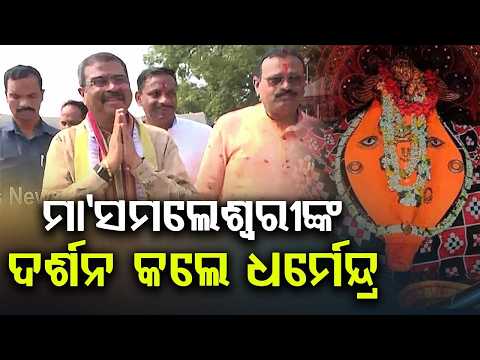 MP Dharmendra Pradhan's 2-Day Sambalpur Visit: Offers Prayers At Temples | Argus News
