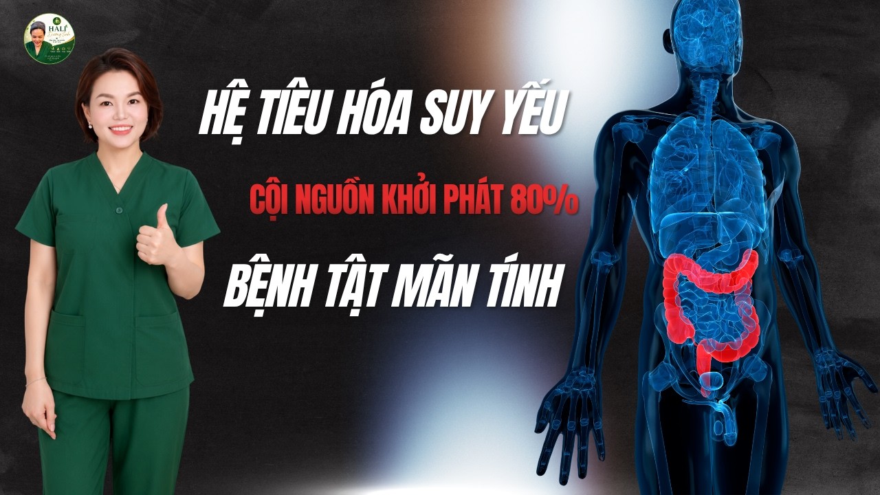 Hệ Tiêu Hóa Suy Yếu – Cội Nguồn Khởi Phát 80% Bệnh Tật Mãn Tính | Hali Dưỡng Sinh