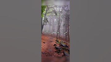 سورة الفلق - إسلام صبحي - Surah Al-Falaq |  Islam Sobhi